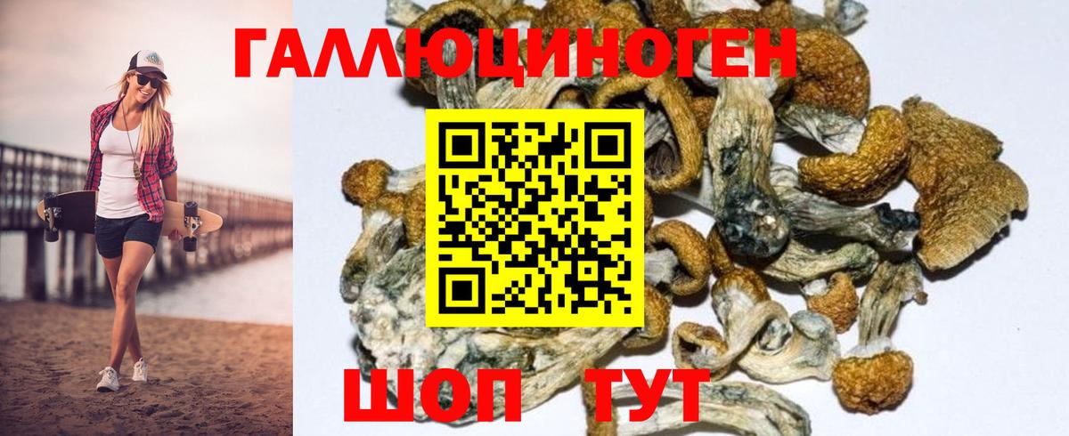 где купить   Вход с VPN  Сорочинск  Псилоцибиновые грибы MAGIC MUSHROOMS 