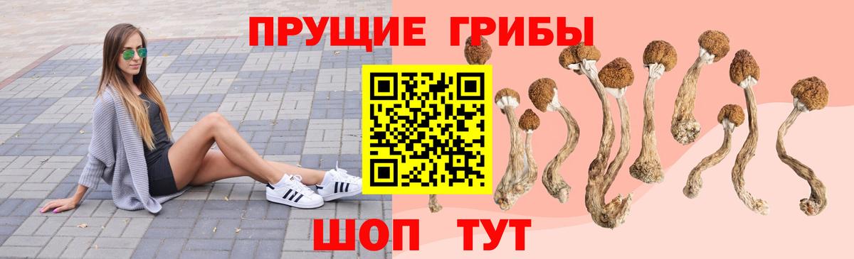 Галлюциногенные грибы прущие грибы Сорочинск